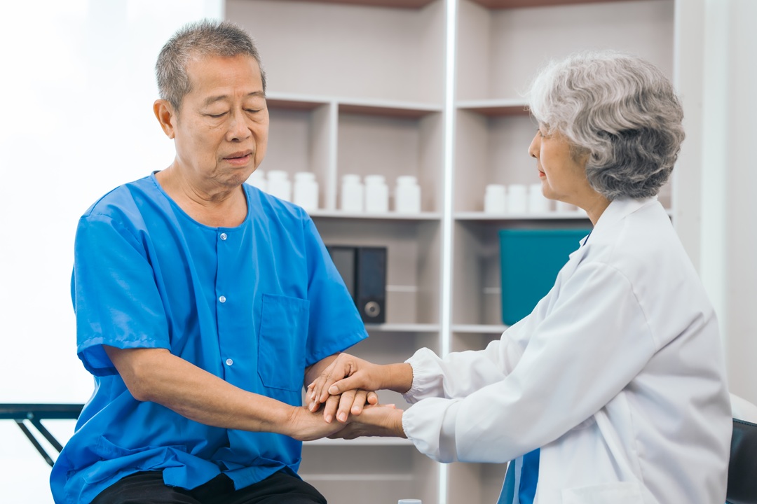 senior brain fog causes